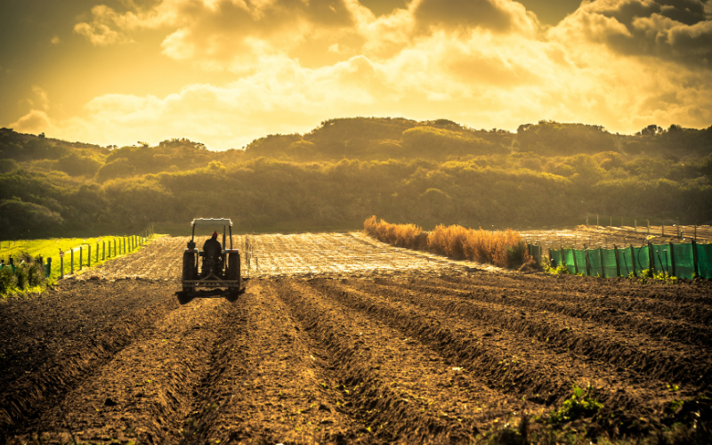 Tarım İlaçları Görseli